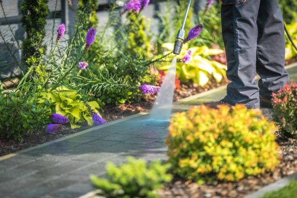 Best Parking Lot Cleaning in Chandler, IN